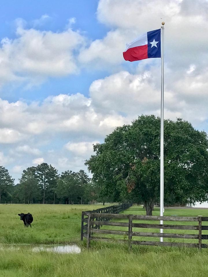 Texas Flag Pole - Flag Installation | Houston, TX